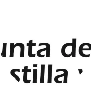 Junta of Castile and León