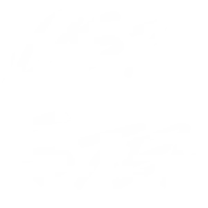 Just Steve - Musical artist