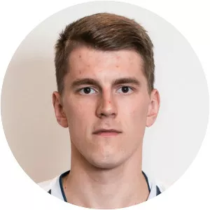 Justas Furmanavicius