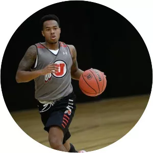 Justin Bibbins