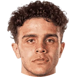 Justin Salmon - Football player