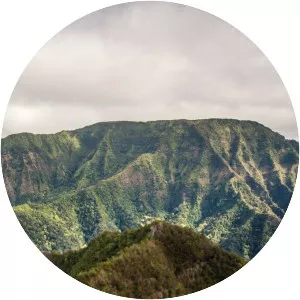 Kaʻala - Mountain in Hawaii
