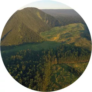 Kaʻū Forest Reserve