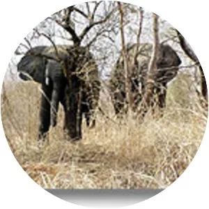 Kaboré Tambi National Park - 