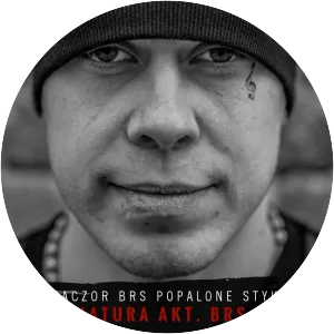 Kaczor BRS - Musical artist