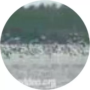 Kadalundi Bird Sanctuary