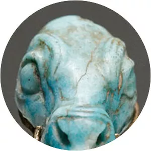 Kadashman-Turgu (Kadaşman Turgu)