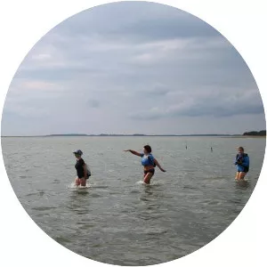 Kaevatsi - Island in Estonia