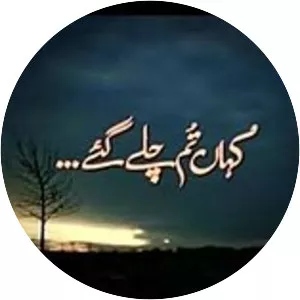 Kahan Tum Chalay Gye - TV show