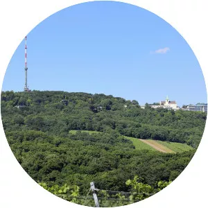 Kahlenberg