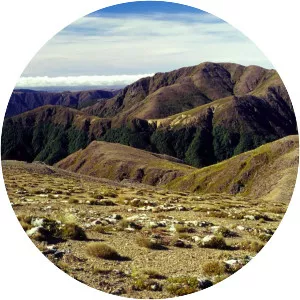Kaimanawa Range
