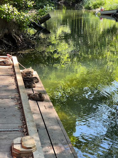 Kajakboden / Freak Out Adventures - Canoe kayak rental service in Tyreso, Sweden