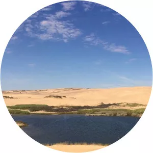 Kalahari: Land of Secret AlliancesSince 2022