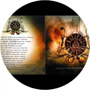 Kalapács és az Akusztika - Musical group