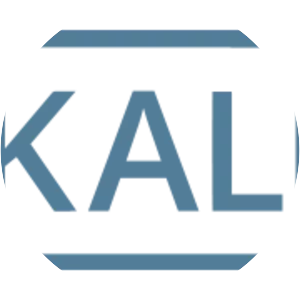 Kali Linux - Computer program