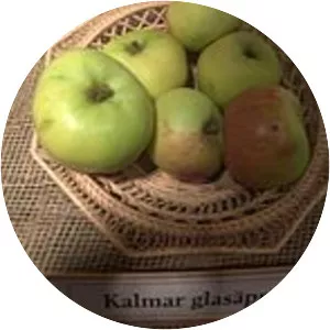 Kalmar Glasäpple - 
