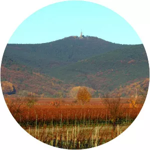 Kalmit - Peak in Germany