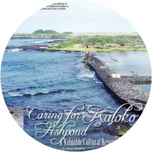 Kaloko Fishpond - Lake in Hawaii