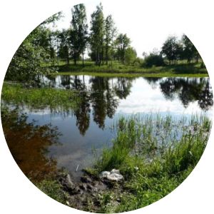 Kaluzhskiye Zaseki Nature Reserve