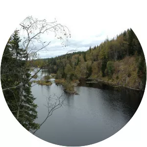 Kalvsjøen - 