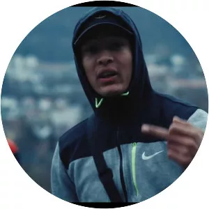 Kamelen - Musical artist