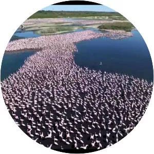 Kamfers Dam - Water body