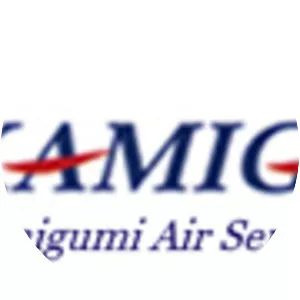 Kamigumi Co. , Ltd.