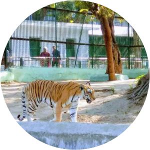 Kamla Nehru Zoo, Kankaria, Ahmedabad