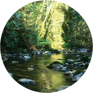 Kanaka Creek