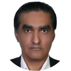 Karan Vafadari - Businessman