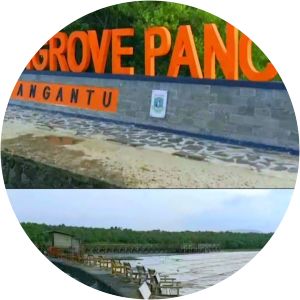 karangantu wisata mangrove pancer