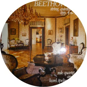 Karel Spelina Musician