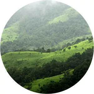 Karian Shola National Park