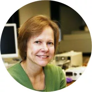 Karin Musier-Forsyth - Researcher