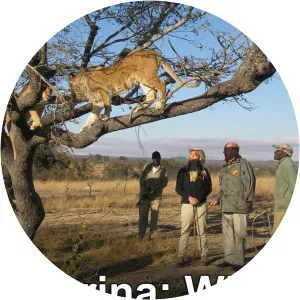 Karina - Wild On Safari