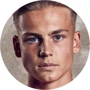 Karl Albers - German diplomat