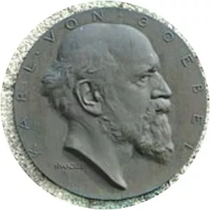 Karl Ritter von Goebel