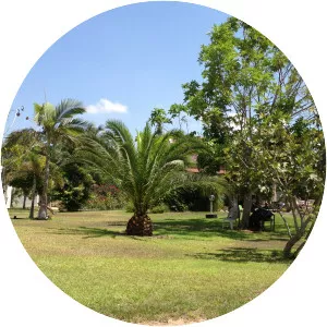 Karmia - Kibbutz in Israel