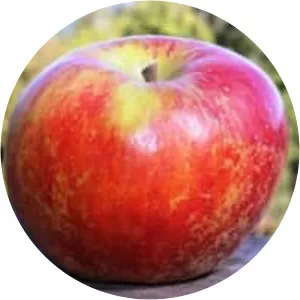 Karmijn de Sonnaville