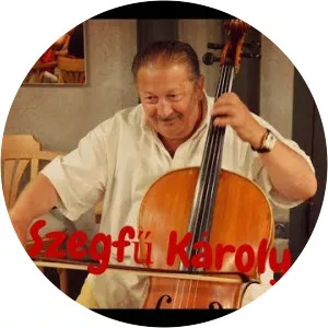 Károly Szegfű Musician
