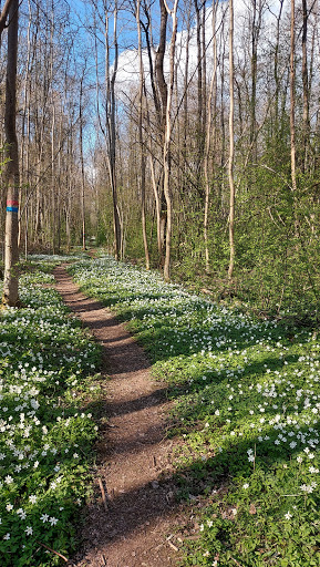 Karshults naturreservat - Nature preserve in Motala, Sweden