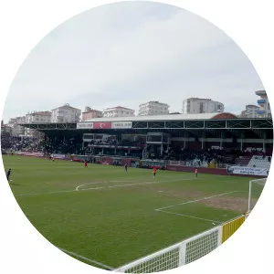 Kartal Stadium