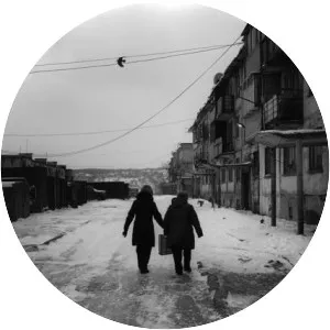 Kasatka Bay - Harbor