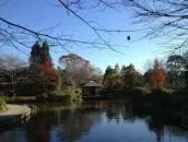 Kashiwanoha Park - 