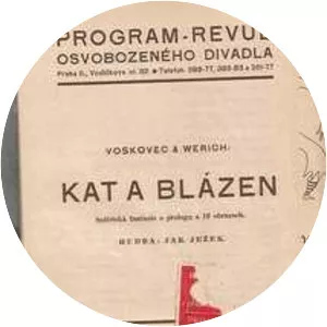 Kat a blázen