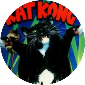 Kat Kong
