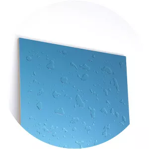 katarzyna przezwańska - Visual artist