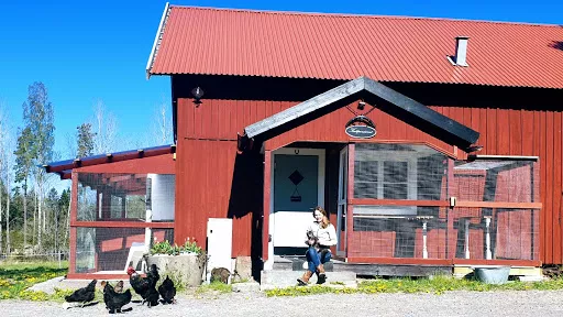 Kattpensionatet i Hedlandet