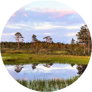 Kauhaneva-Pohjankangas National Park - 