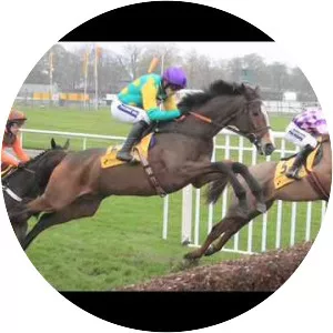 Kauto Star